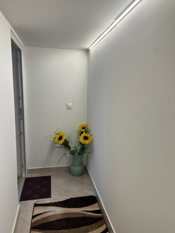 Vito Apartman Eger Exteriör bild